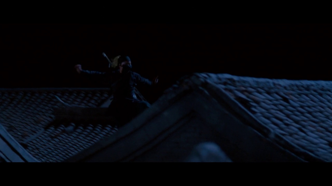 镜头45 - 卧虎藏龙