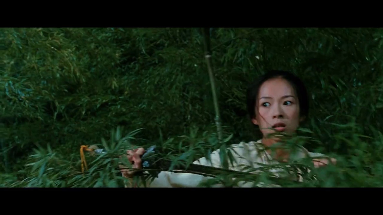 镜头10 - 卧虎藏龙