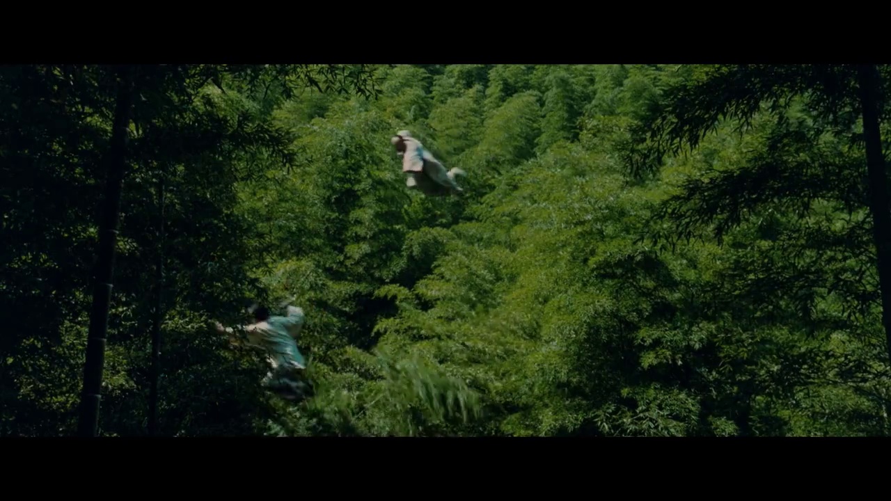 镜头15 - 卧虎藏龙