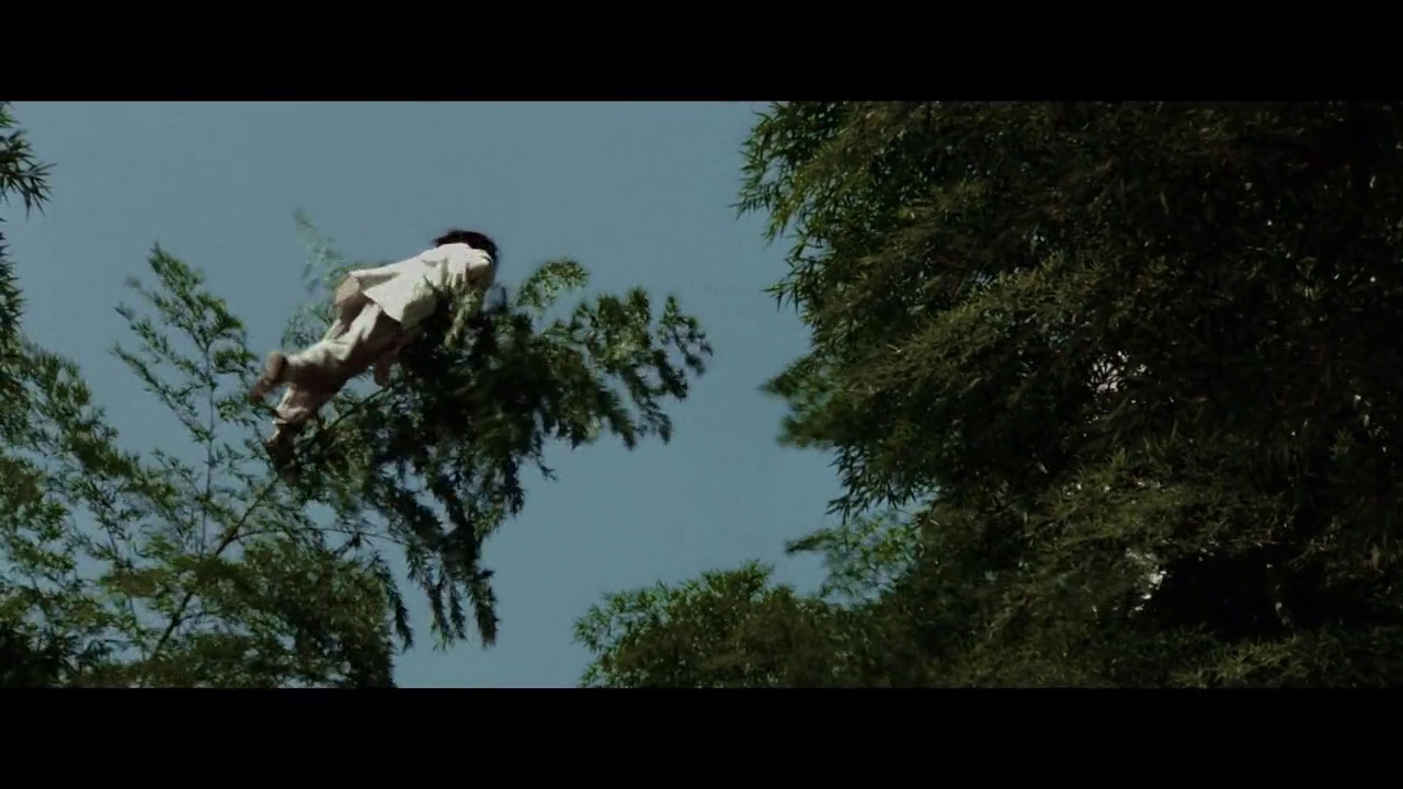 镜头18 - 卧虎藏龙