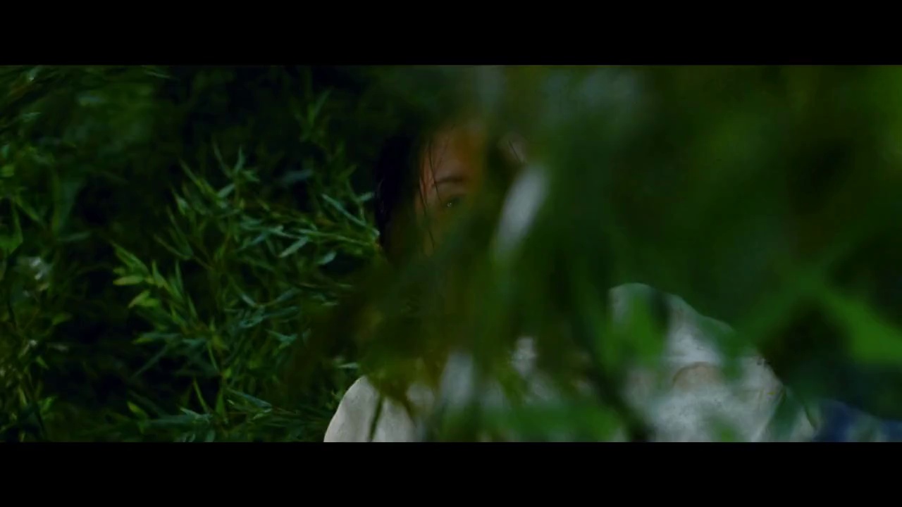 镜头29 - 卧虎藏龙