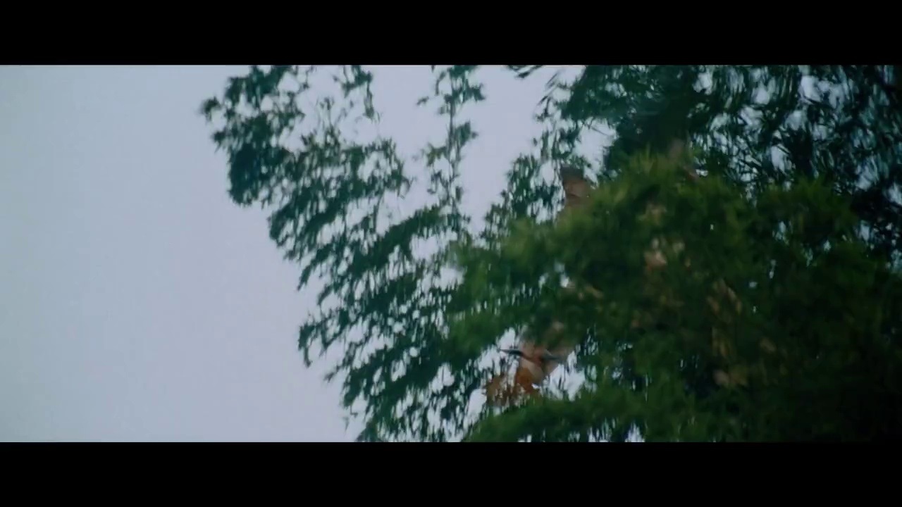 镜头38 - 卧虎藏龙